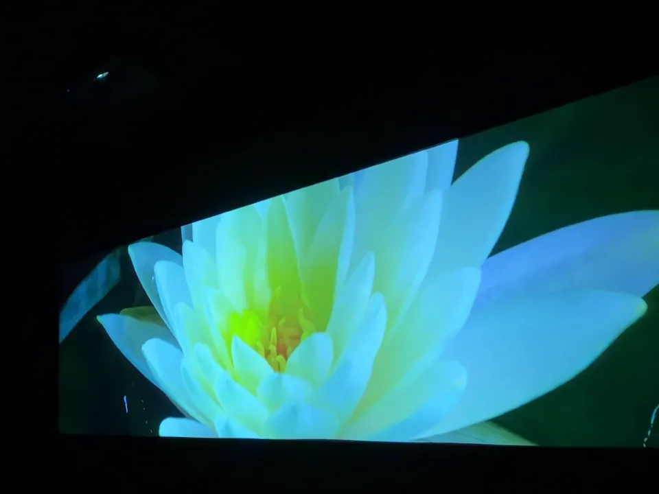 Sala escura com uma flor de lótus projetada na parede.